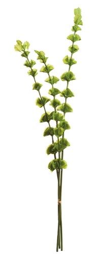 46" Bells of Ireland Bundle