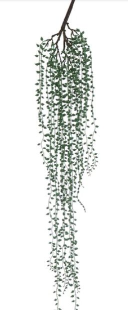 Faux String of Pearls Succulent
