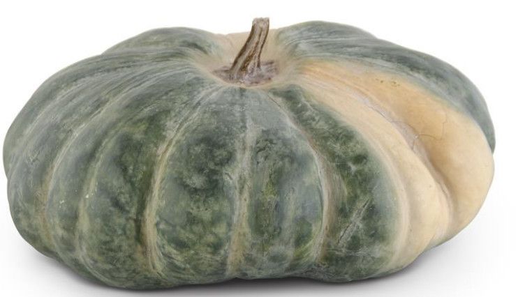 13" Ombre Green and Natural Resin Organic Pumpkin