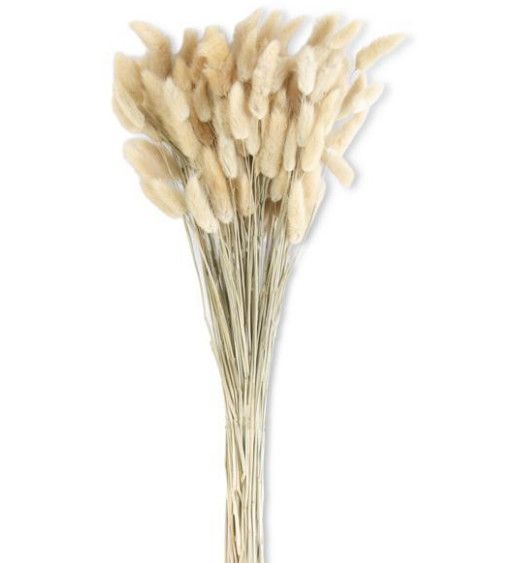 32" Bunny Tail Wheat Bundle