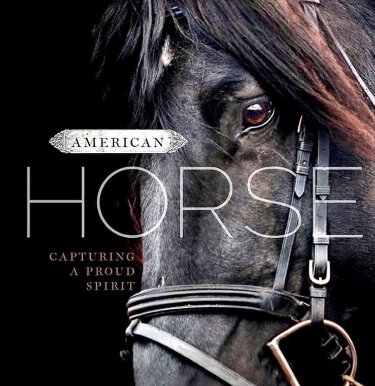 American Horse Hardcover