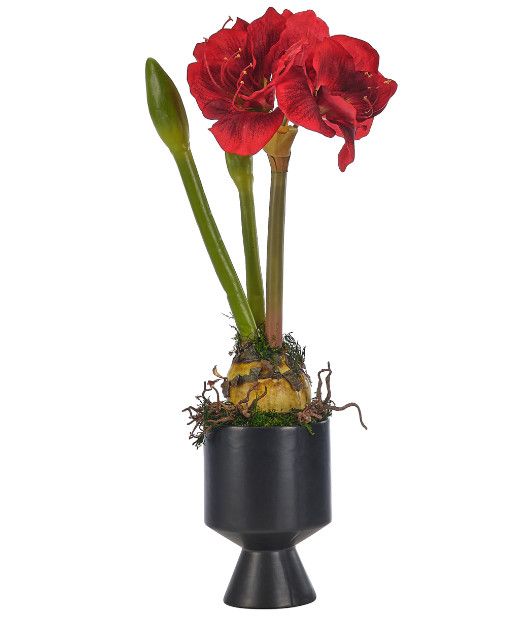 Red Amaryllis Floral Arrangement in Black Ceramic Vase