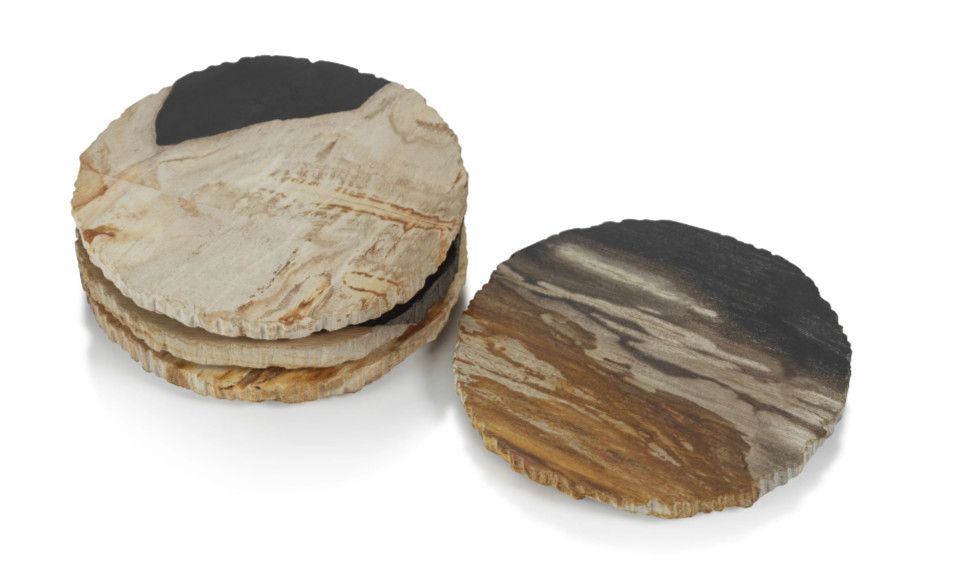 Natural Petrified Wood Coaster 4"Dia.