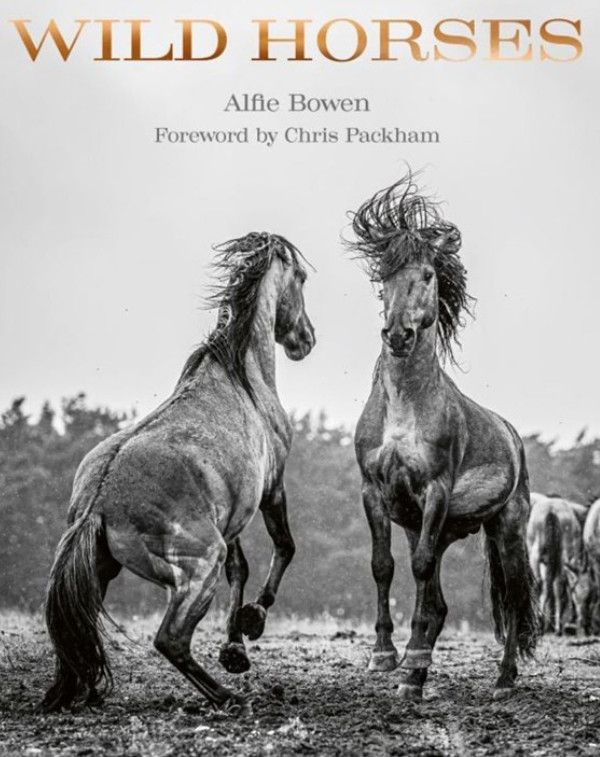 Wild Horses Hardcover