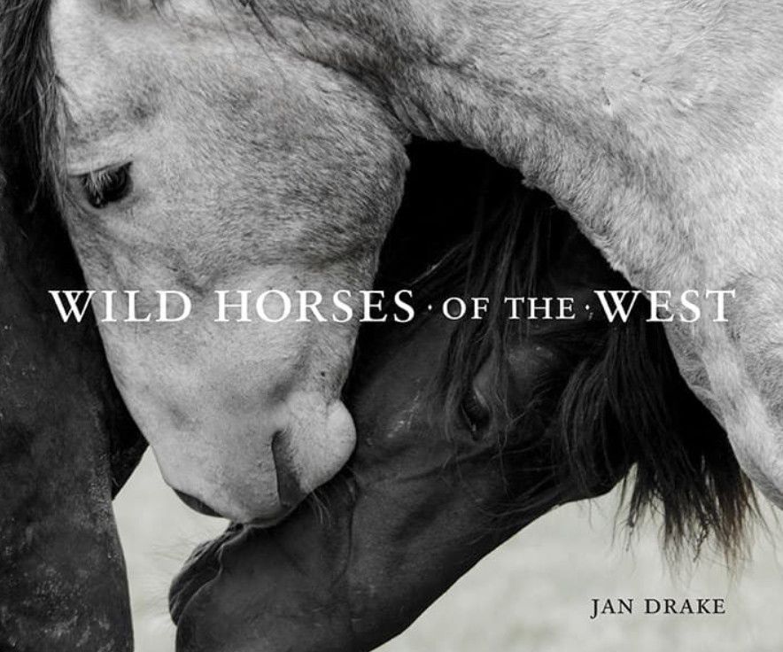 Wild Horses of The West Hardcover
