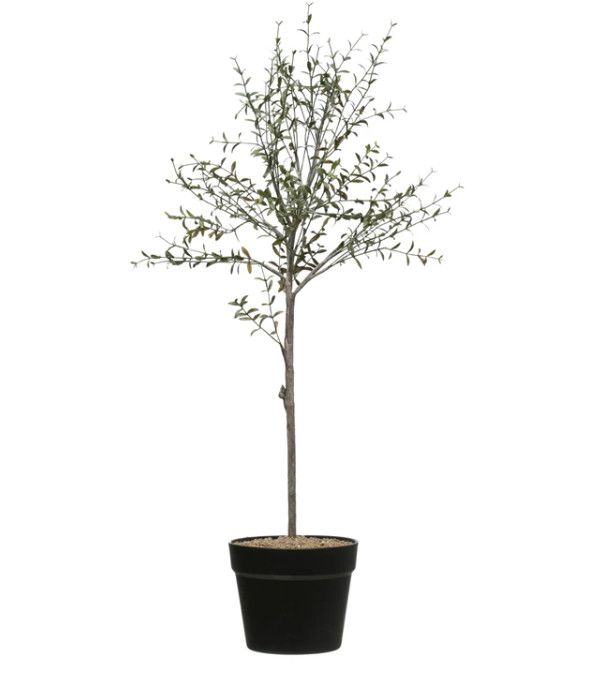 Faux Thyme Topiary in Black Pot