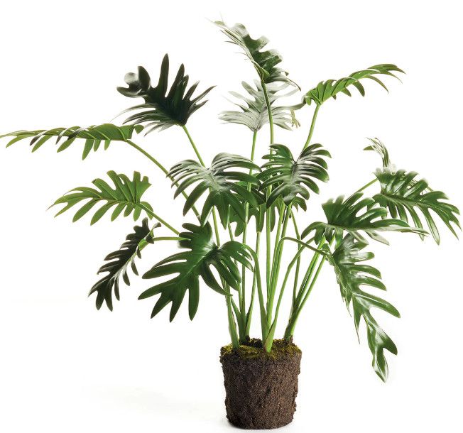 Faux Split Leaf Selloum 22.5"H