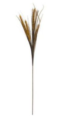 Brown Wheat Grass Spray