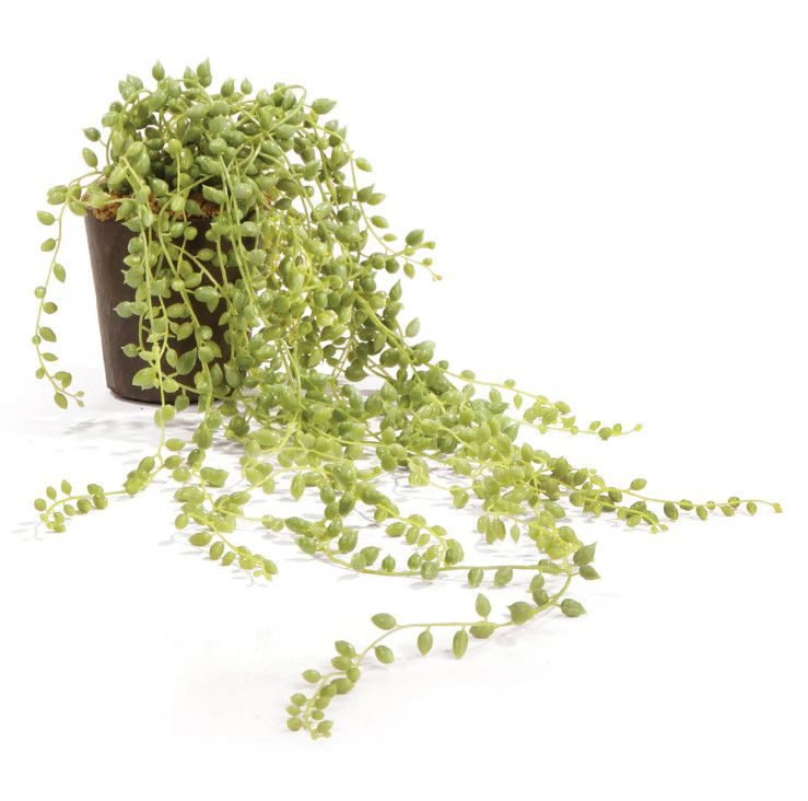 Soft Faux Green String of Pearls - 17"L