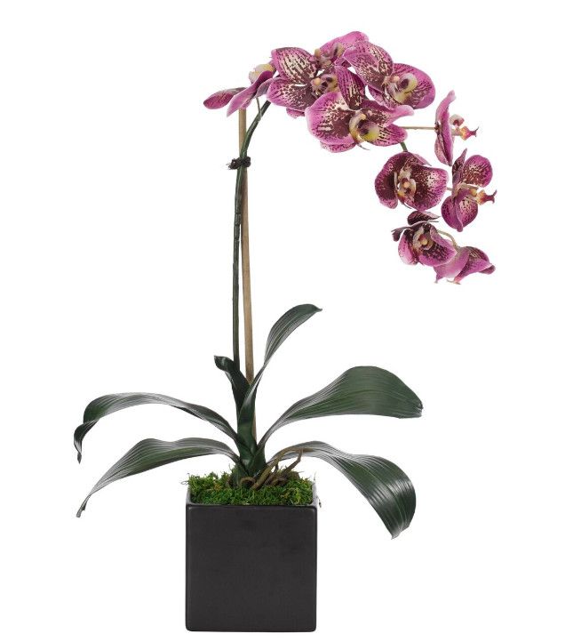 Purple Orchid Phalaenopsis in Ceramic Cube Planter 13"W x 5"D x 22"H