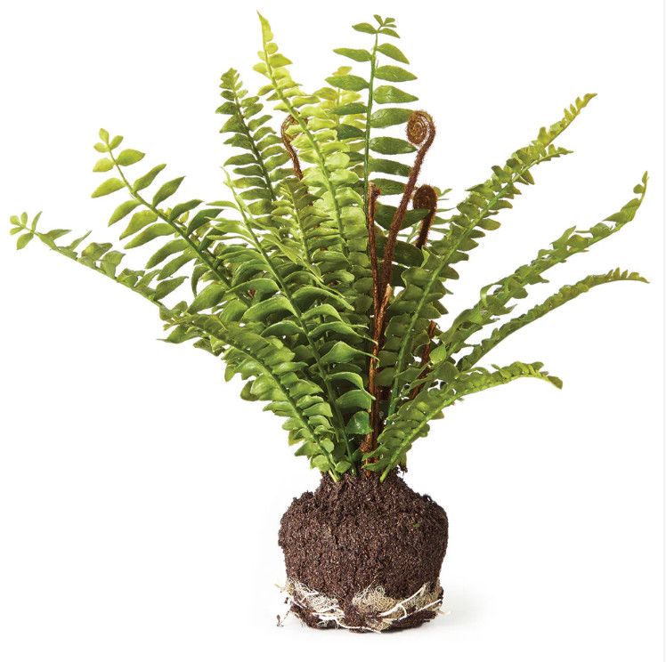 Faux Green Fern - 11"H
