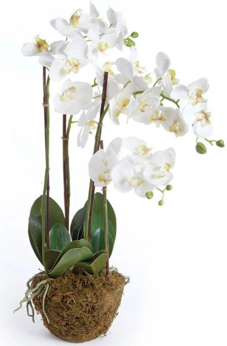 White Orchid Drop-In 30"H