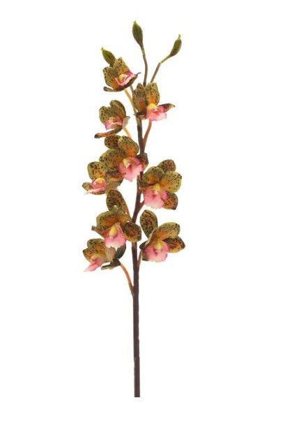 Faux Green Orchid Cattleya 35"H