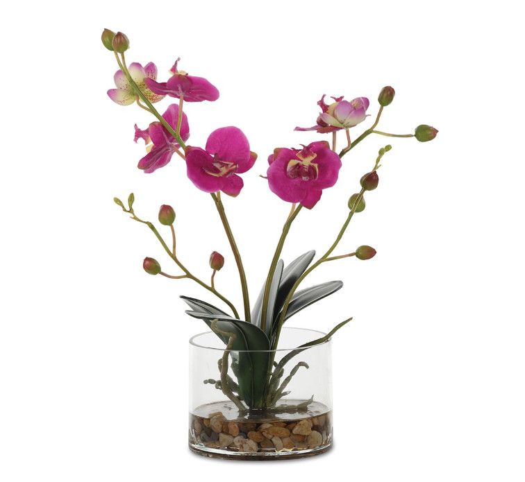 Fuchsia Orchid in Glass Vase w/ Stones 11"W x 5"D x 13"H
