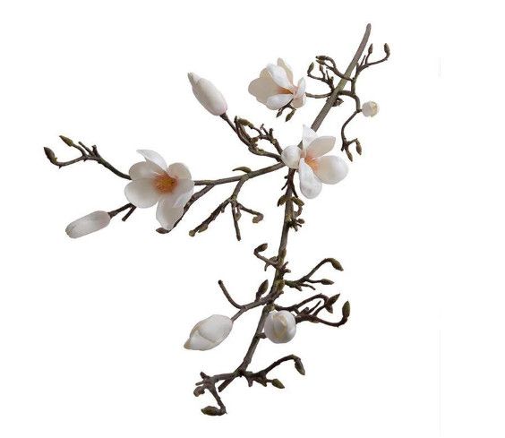 Faux Champagne Magnolia Stem 60"L