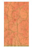Coral Gilded Guest Towels