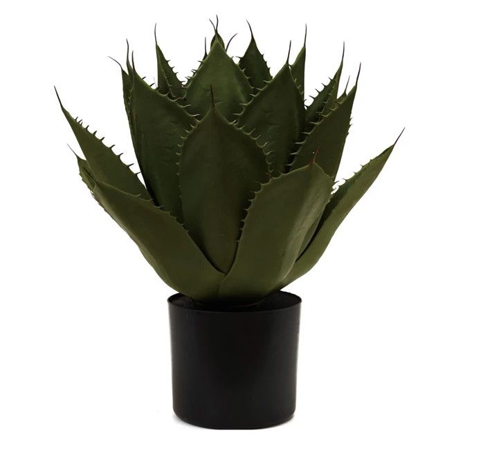 Faux Green Agave in Black Pot 15"Dia. x 20.5"H