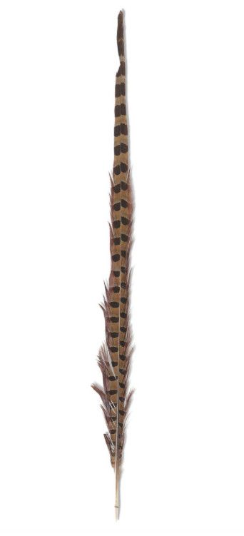 18" Natural Feather Stem