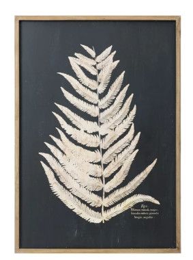 Wood Framed Black Fern Leaves (A) 27.5"W x 39.25"H