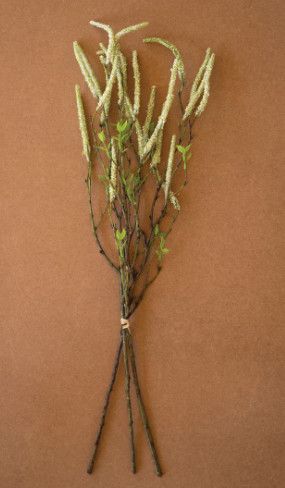 Bundle of White Botanical Stems 22.5"H