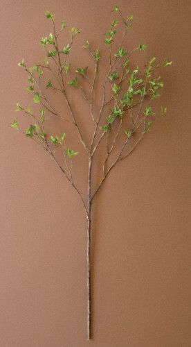 Green Budding Leaf Stem 46.5"H