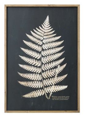 Wood Framed Black Fern Leaves (B) 27.5"W x 39.25"H