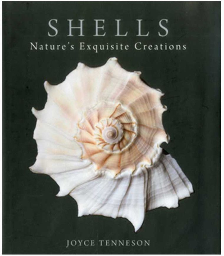 Shells Nature's Exquisite Creations Hardcover Book