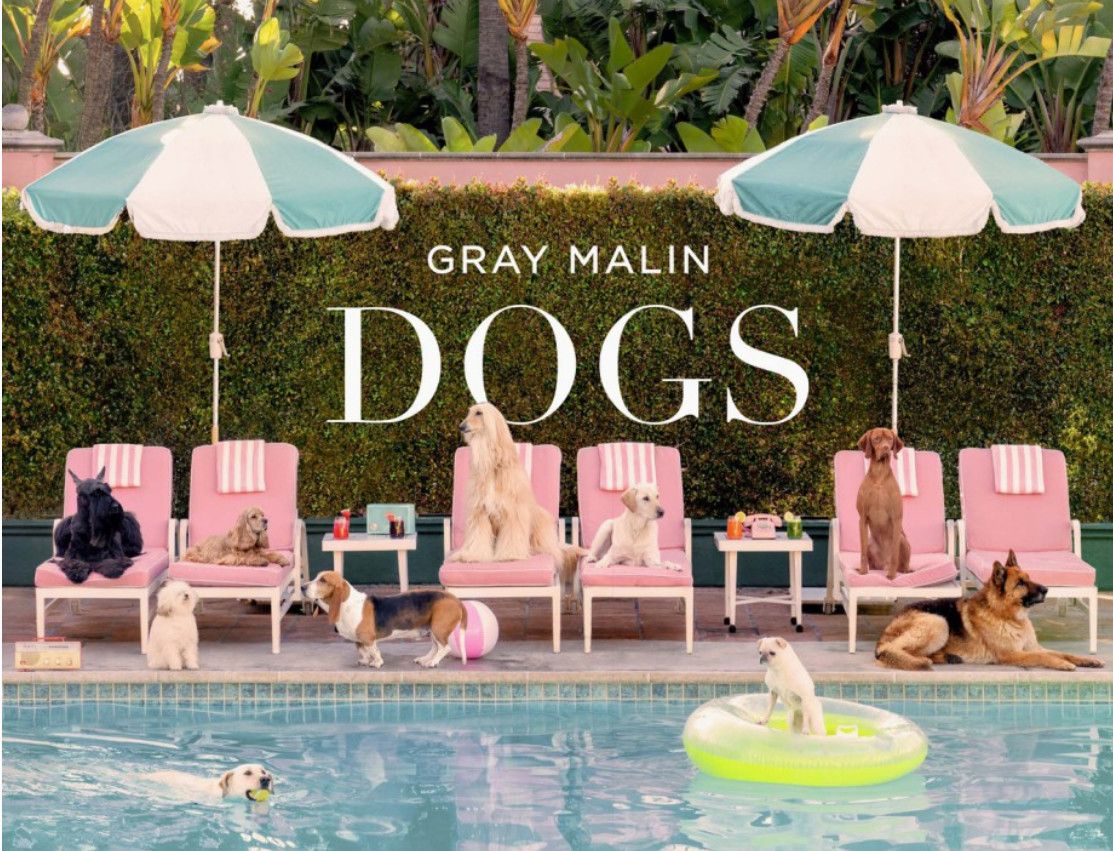 Dogs Hardcover Book