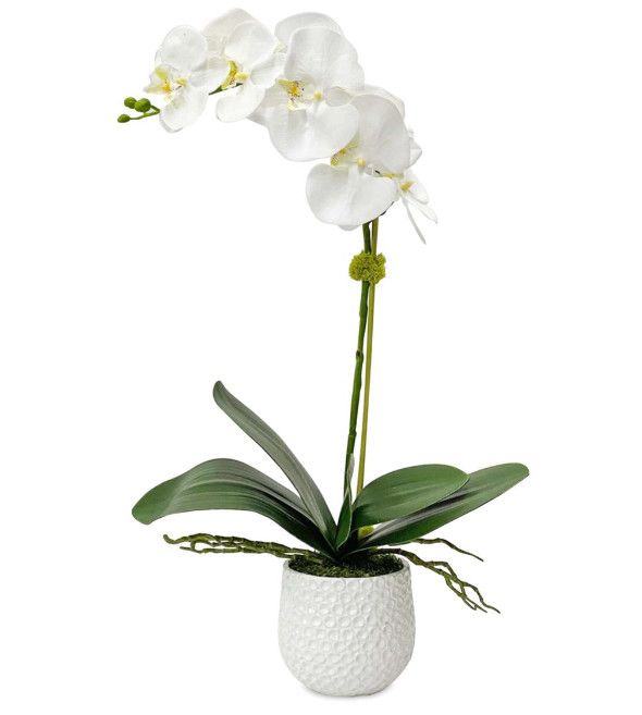 Faux White Orchid in a Textural White Ceramic Pot 14"W x 8"D x 24"H
