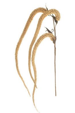 Realistic Faux Neutral Grass Spray 42.5”L