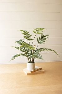 Realistic Faux Fern in Cement Pot 10”Dia. x 28”H
