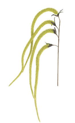 Realistic Faux Yellow Grass Spray 43”L
