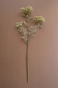 Realistic Faux White Lace Floral Stem 34”H