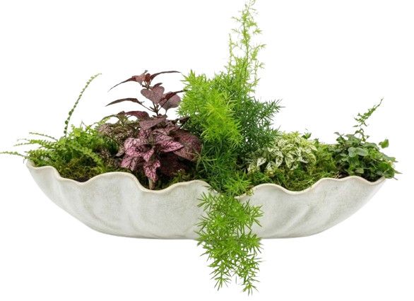 Assembled Ivory Ceramic Planter w/ Live Shade Plantings (B) 23.75"L x 7.75"W x 5.5"H