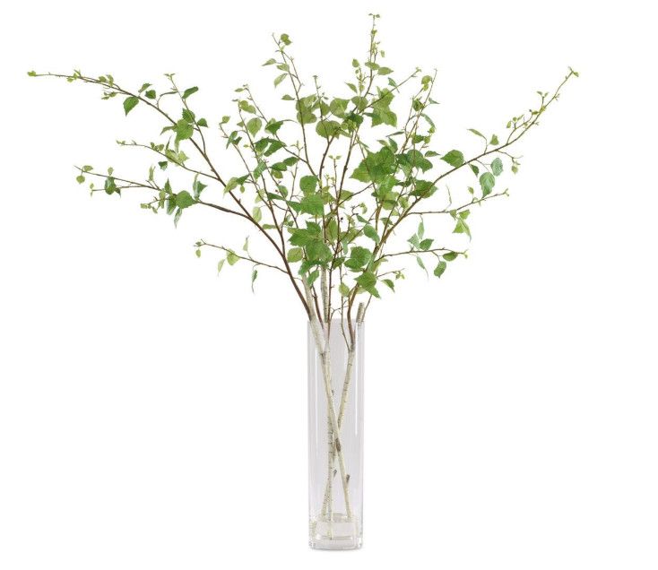 Faux Realistic Green River Birch Branches in Glass Vase 20"W x 24"D x 48"H