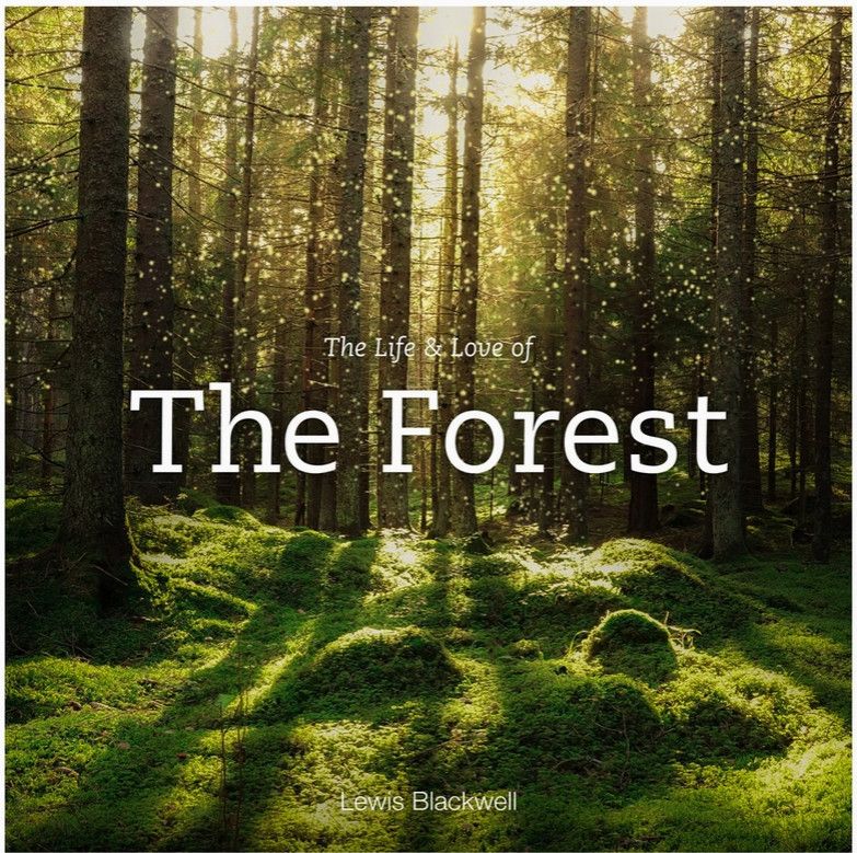 The Life & Love of The Forest Hardcover Book