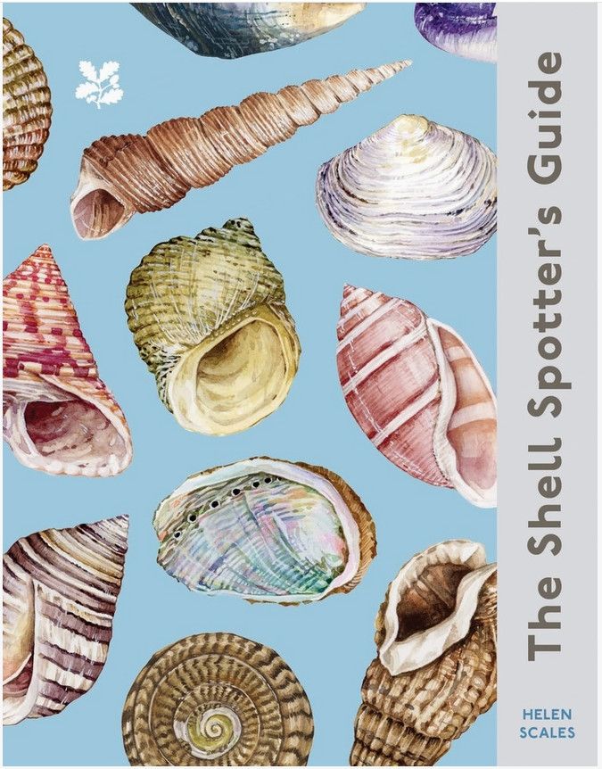 The Shell Spotter's Guide Hardcover Book