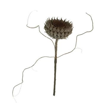 Faux Realistic Plum Thistle Stem 20"H