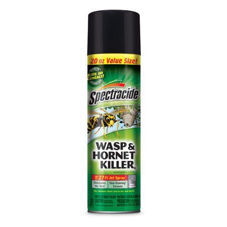 Spectracide Wasp &amp; Hornet Killer