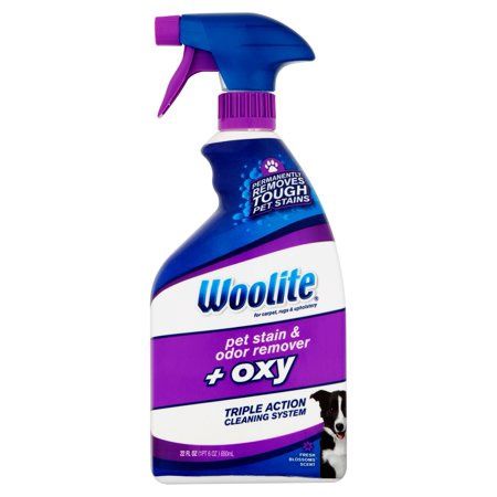 Woolite Cat/Dog Odor/Stain Remover 22 Oz