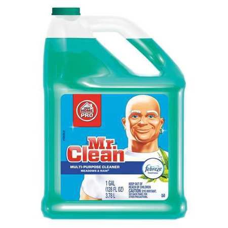 Mr clean Surface Cleaner 1 Gal