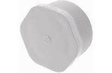 PVC Threaded Plug, Size: 3/4" flat