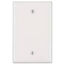REGULAR 2X4 WHITE BLANK COVER