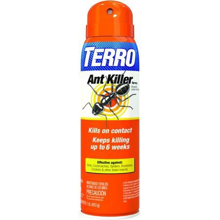 16 Oz. Ant Killer Aerosol Spray