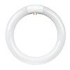 CIRCULAR FLUORESCENT LIGHTBULB
