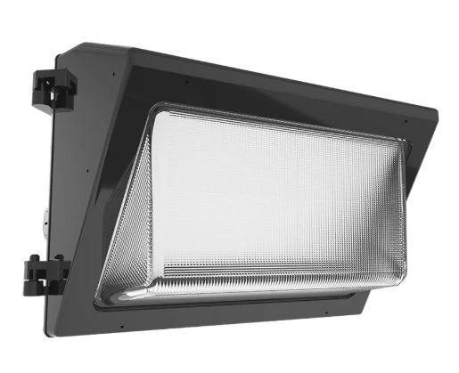 RAB WP2 FE LED WALL PACK  29W