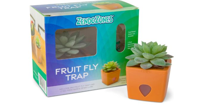 Fruit Fly Trap,Bait Box,Orange