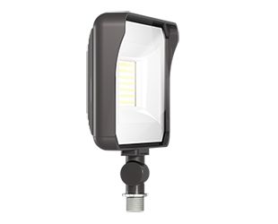 RAB X34-55L/120 General Purpose LED Floodlight 120V 5000K Multi