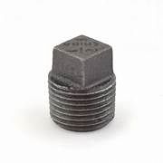 Black Plug, Size: 1/8"