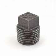 Black Plug